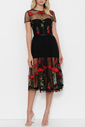 Tulle and Roses Dress